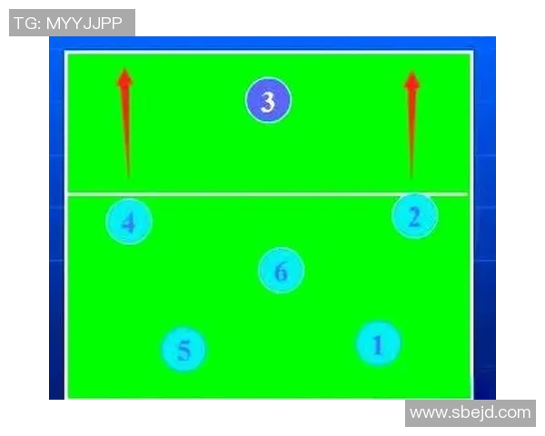 武汉排球队挑战赛战术解析与表现评估全面分析